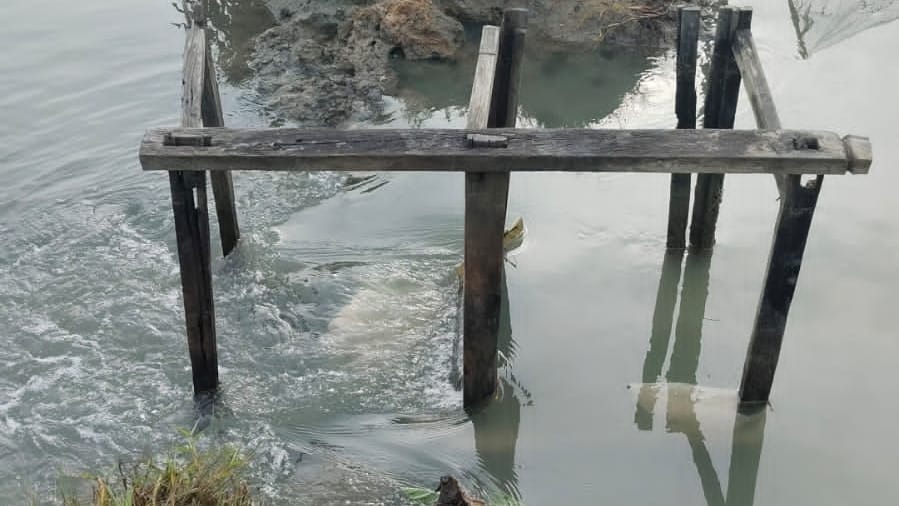 Banjir Rob di Tambak-tambak Pesisir Teluk Bone, Pembudidaya Bandeng dan Vaname Merugi