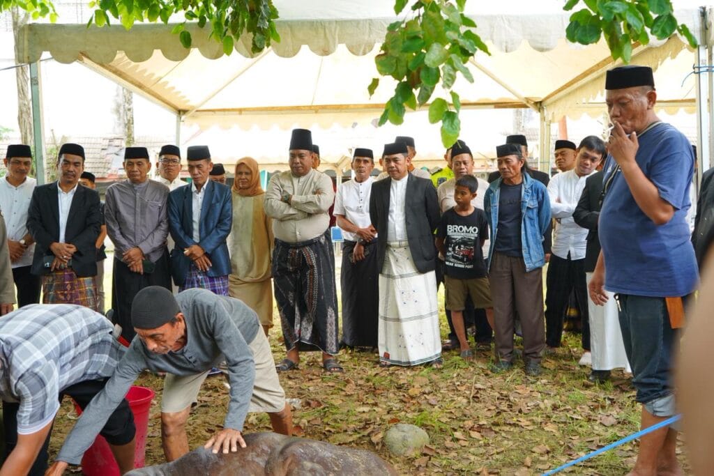 Bupati Wajo Andi Rosman Pimpin Penyembelihan 32 Ekor Sapi Kurban di Sengkang