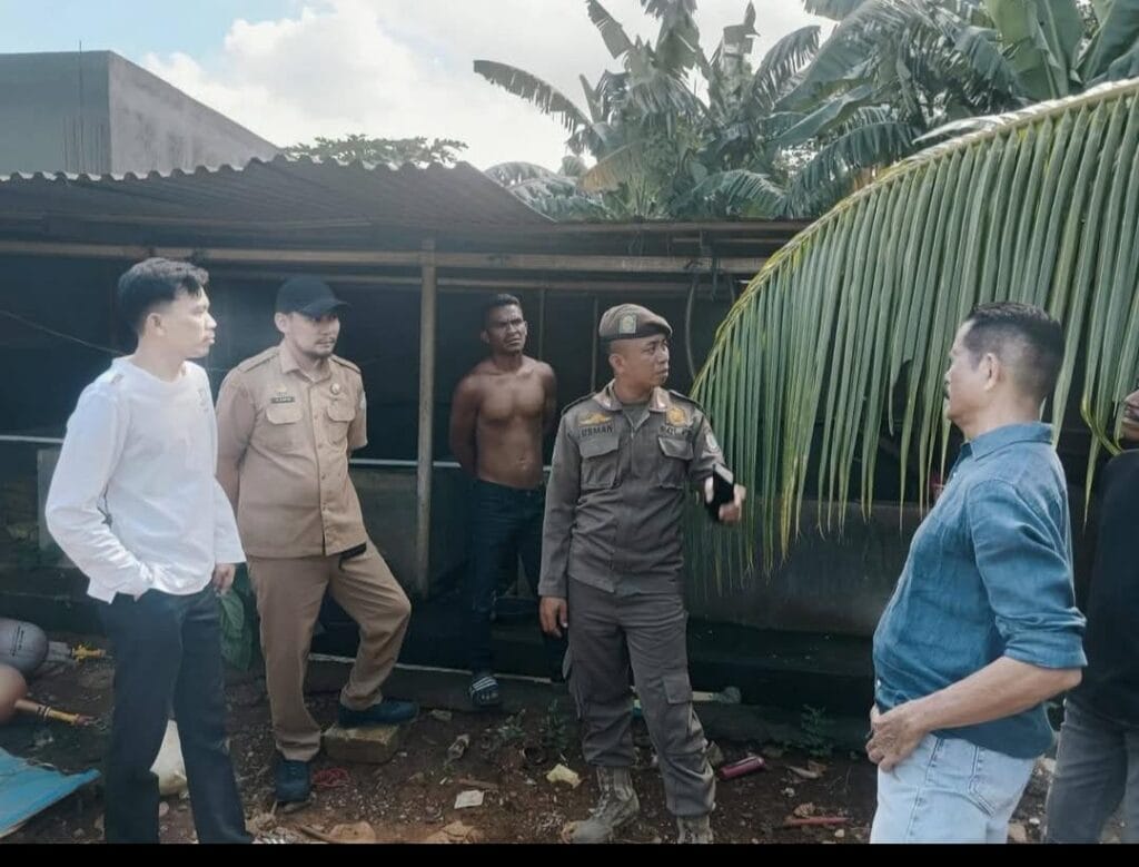 Kandang Babi di Gudang Farmasi Tamalate Ditangani Persuasif, Dipindahkan